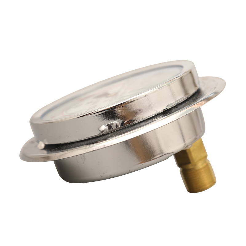 YN100ZT轴向带边耐震压力表0-0.6/A1/1.6/4/16/25/40Mpa表盘固定