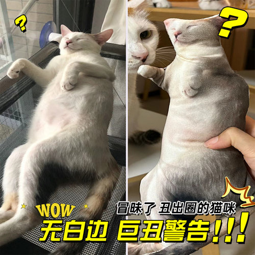 W巨丑创意无描边定做立体娃娃猫咪抱I枕定制无白边玩偶抽象异形