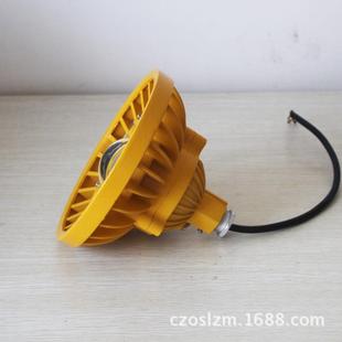 LED防爆灯30W隔爆型防爆灯壳化工厂石油石化LED防爆吊杆灯20W