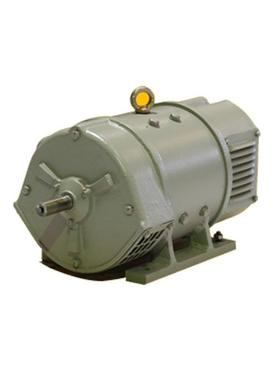 西安泰富西玛电机有限公司ZTP-120.6KW75V1450R铁路机车电机