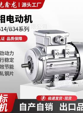 三相异步电动机380V4级YS铝壳卧式国标750w1100w2200w电动机马达