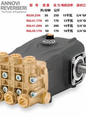 RGL50.17NRGL41.20NRG30.25意大利AR清洗机高压泵