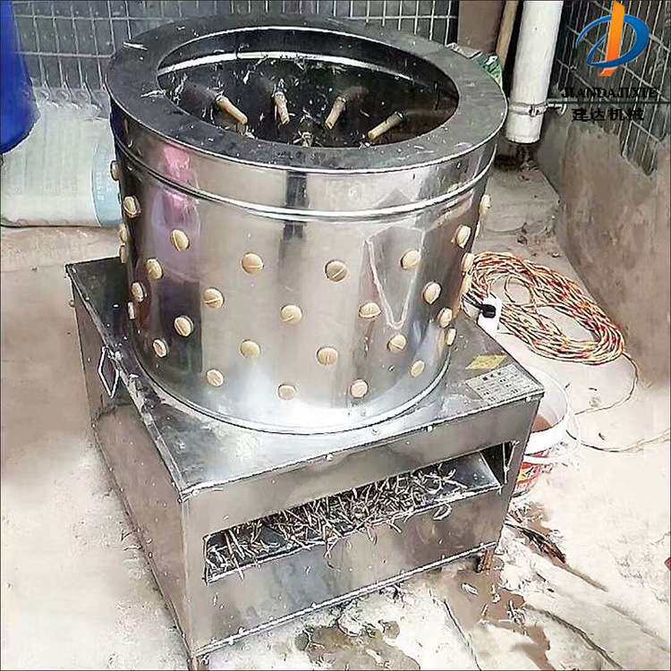 不锈钢家禽拔毛器全自动圆筒脱毛机商用鸡鸭鹅褪毛机厂家建达