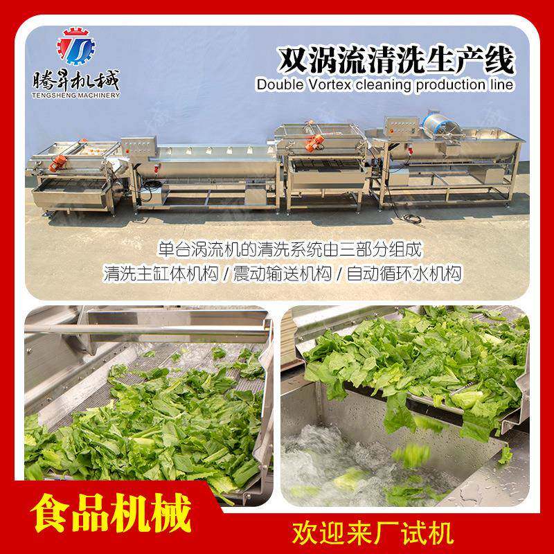 段菜 碎菜清洗作业线 生姜菠菜土豆条清洗旋流+气泡双重洁净清洗