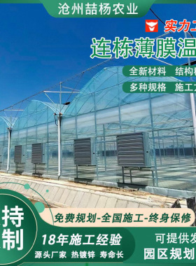 连栋薄膜温室 蔬菜大棚加工 花卉种植大棚 菜棚 联动大棚