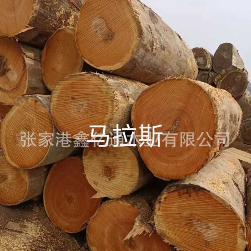 MAL马拉斯 原木木材 旋切木料树桩 马拉斯水胶防腐木实木锨把木棒图片