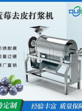 不锈钢果蔬蓝莓去皮打浆机浆渣分离道打浆机水果打浆机厂家直销