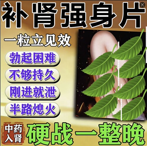 【乐氏同仁】补肾强身片48片/盒