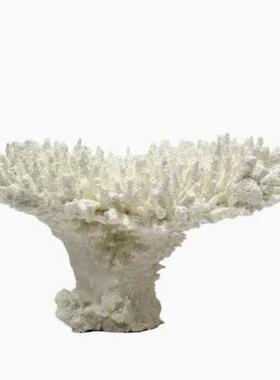 现代简约极简几何仿真珊瑚树脂摆件样板间售楼处装饰艺术家居