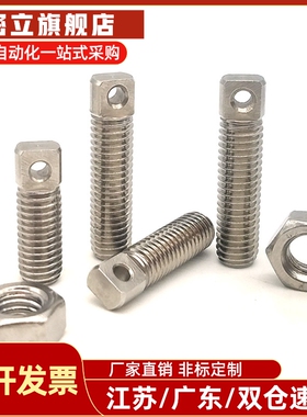 FFL11-D3/D4/D5/D6-L15/L20/L25拉伸弹簧支柱 带扁方全牙型SAIPOK