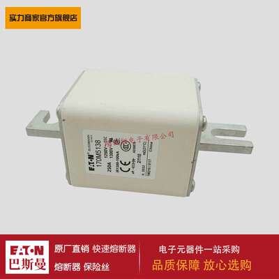 熔断器170M4147 170M5138 170M5139 170M5140 170M5141 170M5142