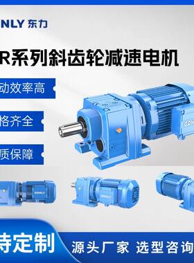 东力减速机 厂家直供四大系列 DLR/DLS/DLF/DLK系列减速机 硬齿面