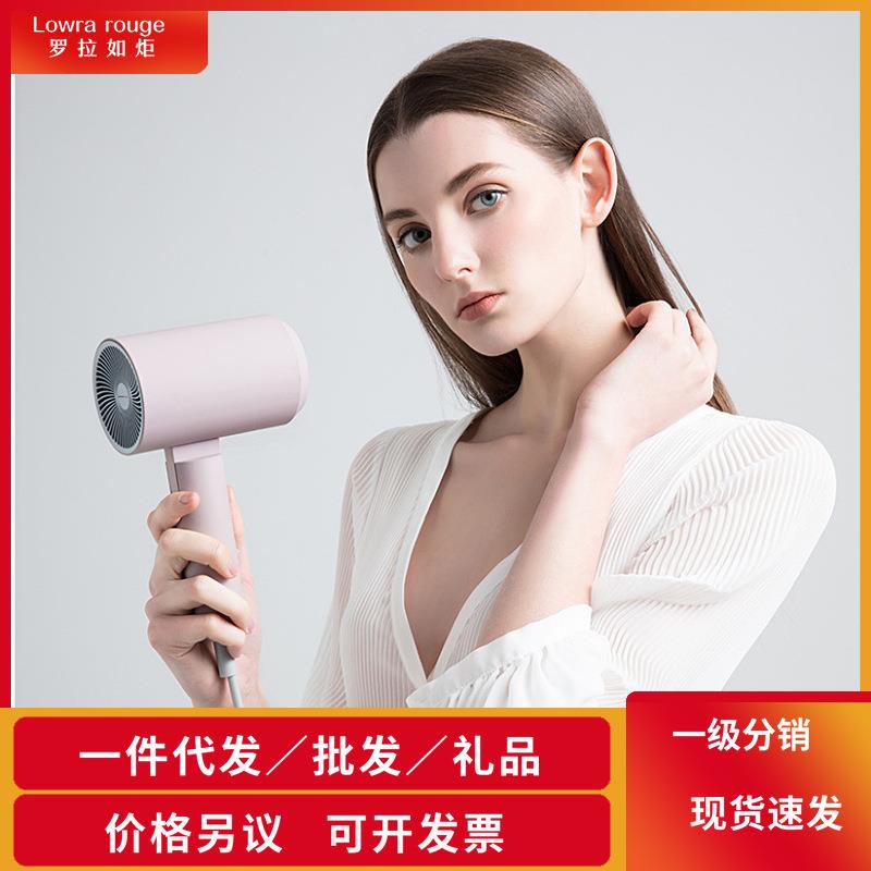 Lowra rouge罗拉CL202吹风机家用网红款负离子电吹风筒不伤发