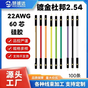 1p镀金杜邦线2.54mm间距22AWG60芯双头电子线材加工端子线连接线