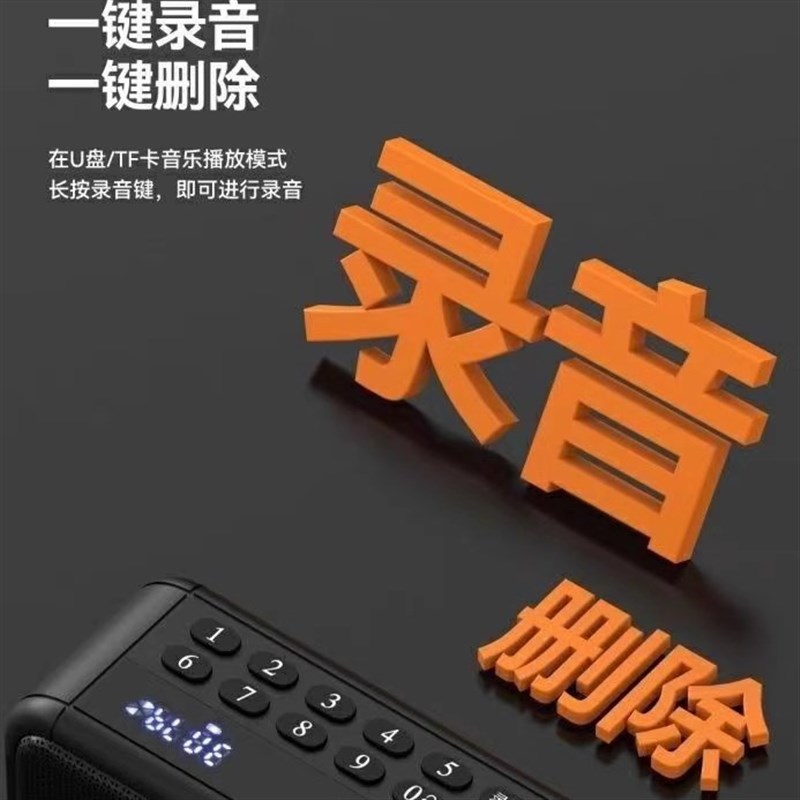 山水F30蓝牙音箱FM收音机插卡U盘太极晨练双喇叭低音炮听书听戏