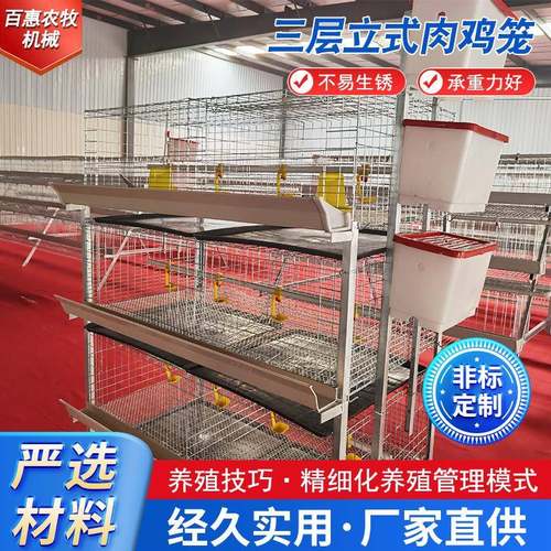 厂家销售三层立式肉鸡笼养殖养鸡设备肉鸡笼防锈肉鸡笼热镀锌鸡笼