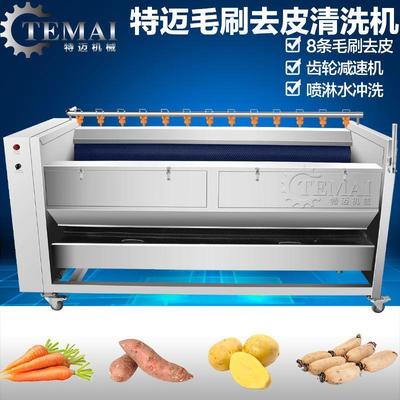 新款小姜去皮机不锈钢莱阳沙参毛辊去皮机全自动商用毛辊清洗机