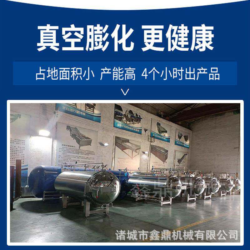 非油炸果蔬脆片加工设备苹果脆片变温压差膨化机脆枣加工机器