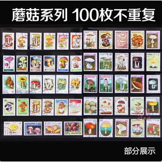 外国蘑菇邮票100枚不重复 大型专题盖销邮票邮品