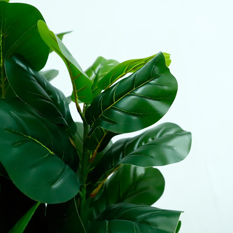 北欧仿真琴叶榕多杆盆景假植物 仿真葫芦叶小型室内摆件假树盆栽