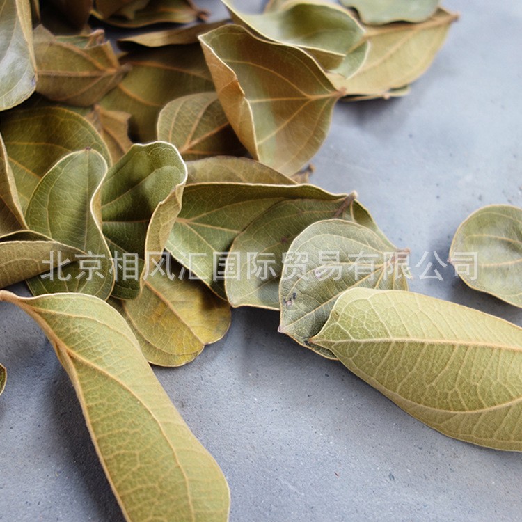 【藜麦叶】进口干花干树叶干枝干果花材配材装饰摆设拍照花束