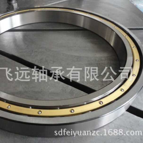 轴承 619/670 619/710 619/750 619/800 619/500 619/530 619/560