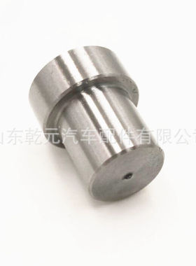 DN10PDN129 喷油嘴适用于PDN喷油器105007-1290