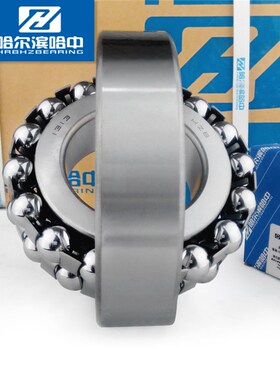 双列调心球轴承1306ATN/K哈尔滨哈中高速一类内外径30*72厚度19mm