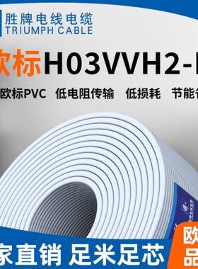H03VVH2-F扁线2芯0.5~0.75平方欧规VDE电源线插头线PVC护套线
