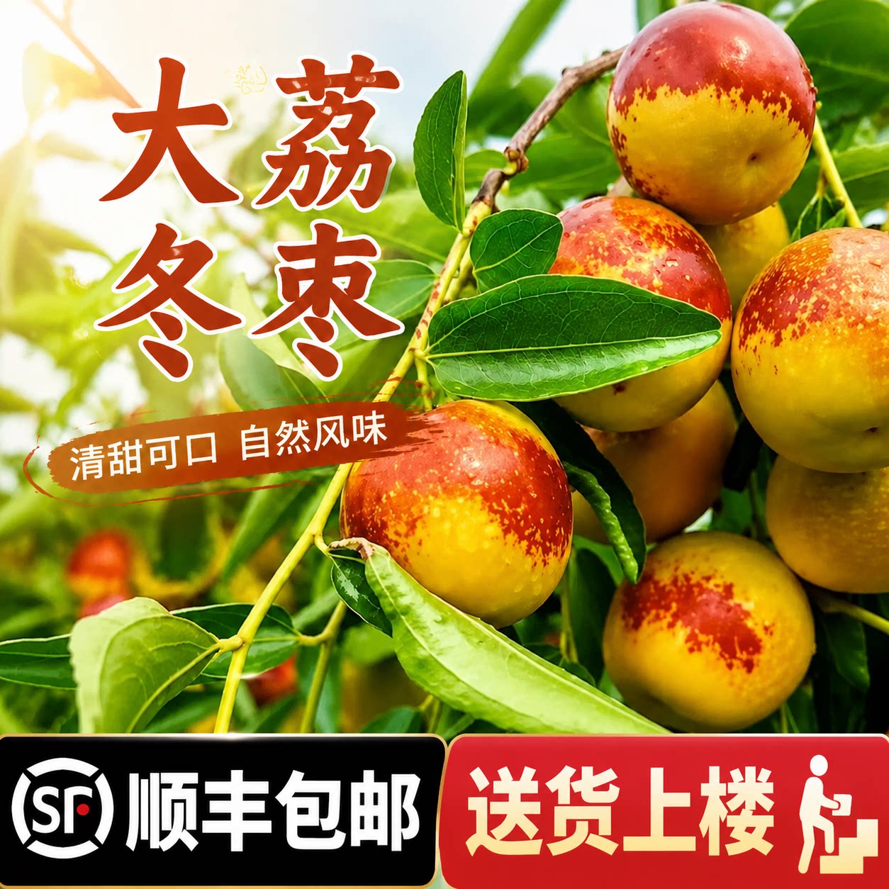 正宗陕西大荔冬枣新鲜大枣精品质冬枣酥脆甜应季水果顺丰产地直发