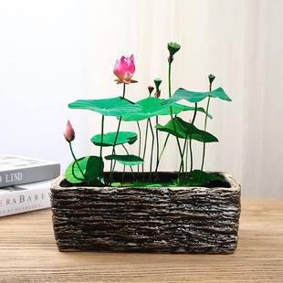 水仙花盆陶瓷大号无孔铜钱草碗莲仿石头盆多肉大口径水培