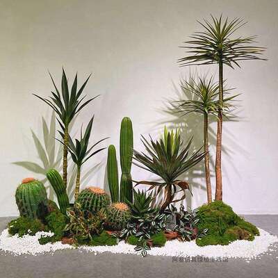 绿植造景龙血树室内大型落地假植物楼梯下拐角景观装饰品楼梯转角