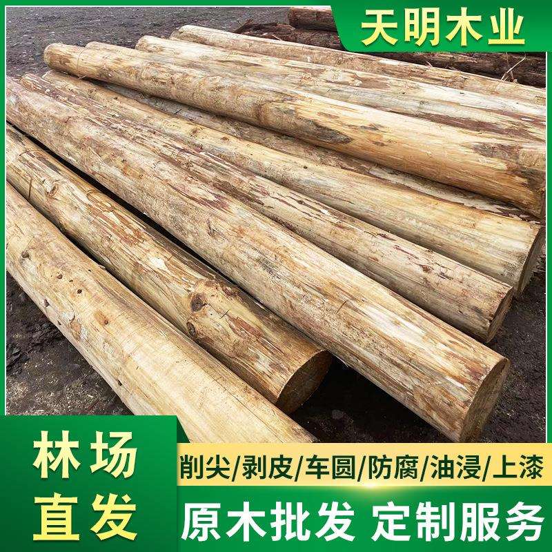 杉木桩打桩木 户外河道护坡防腐松木圆木桩防洪木桩 落叶松原木桩