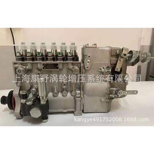 喷油泵F002A0Z416 5521205和 3921127 0400866198和F002A0Z379