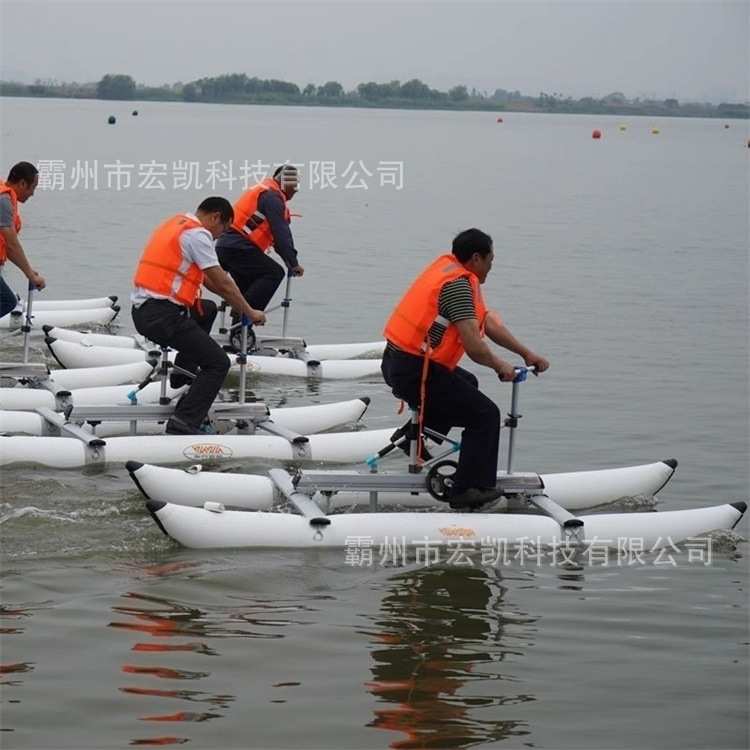 水上乐园观光游乐船公园烧烤船网红透明船水上脚踏自行车水上单车