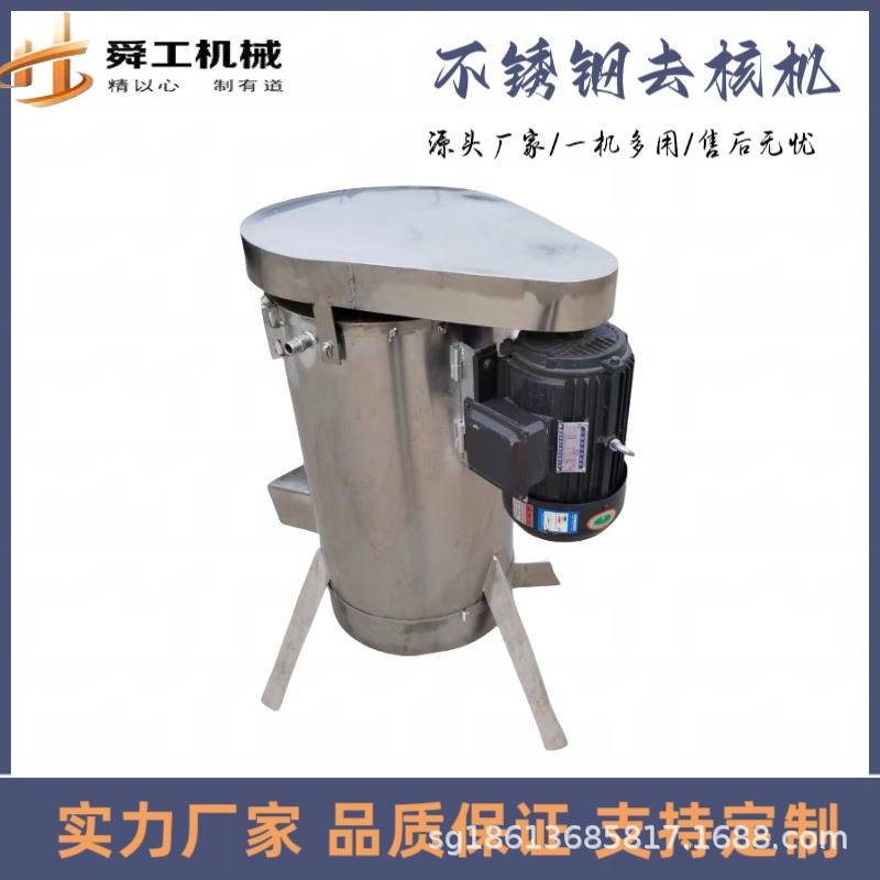 工业枇杷桃水果去核机 芒果渣汁分离打浆机 不锈钢商用果蔬脱籽机
