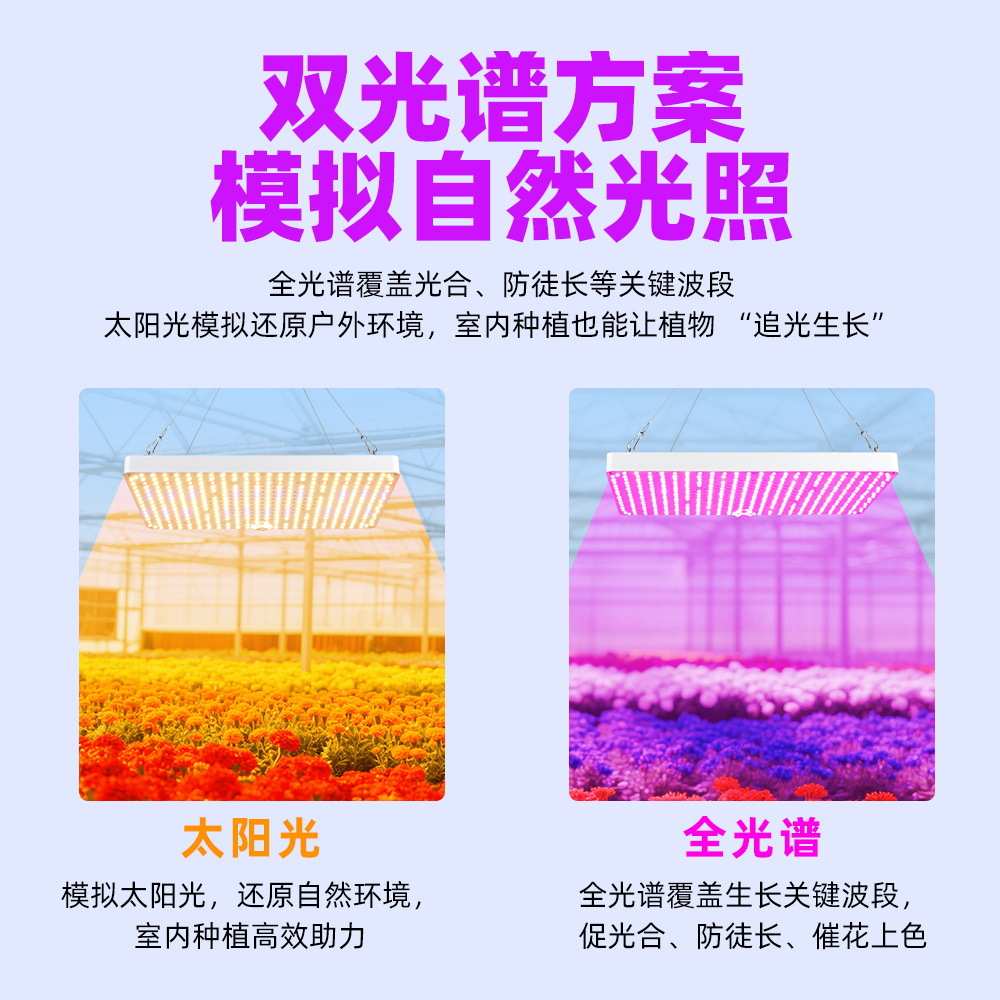 全光谱植物补光灯植物生长灯温室水培多肉催色红蓝双波段厂家直销