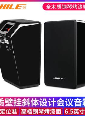 狮乐BG-6会议专业音箱背景音乐6.5寸影院壁挂倾斜式音响设备