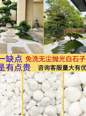 120斤白石子园林白色砾石白色鹅卵石阳K台花园庭院造景白色石子