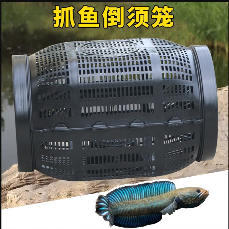 新型鱼笼网笼装鱼大号大鱼抓七星鱼黑H鱼雷龙鲶鱼地鱼笼沉底倒须