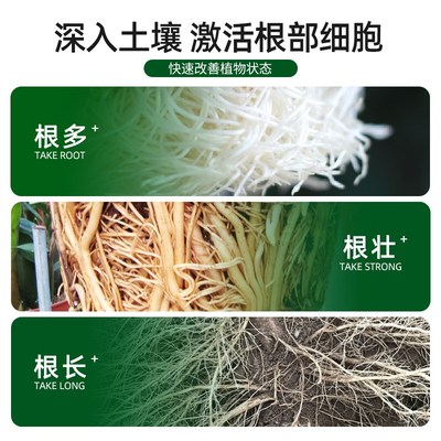 大树生根液枯树再生复活液树木移栽壮苗剂植物通用型营养液激活液