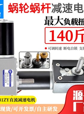 5840-31ZY微型涡轮蜗杆直流减速电机 小马I达M8螺杆自锁齿轮12V24