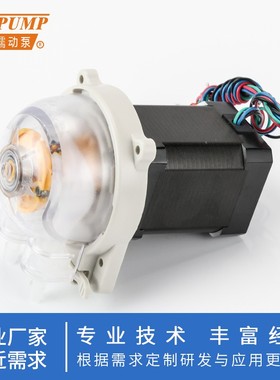 杰恒MN3迷你蠕动泵12v微型自吸泵实验室小水泵直流24vZ计量抽水泵