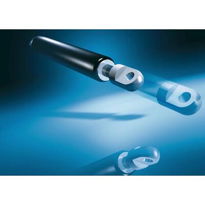 货源Bansbach easylift油压缓冲器D2D2-50-090-255-010?200N