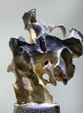 天然奇石太湖石原石摆件鱼缸造景假山景观石盆景附V石观赏石灵璧