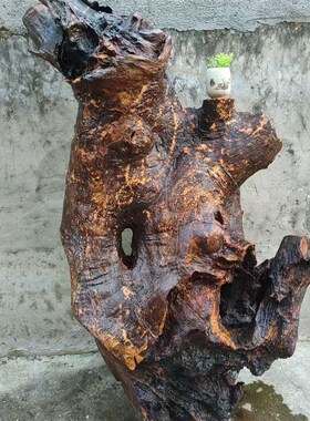 原生态香樟c木原木根雕树根风化客厅电视柜造型创意家居装饰摆件