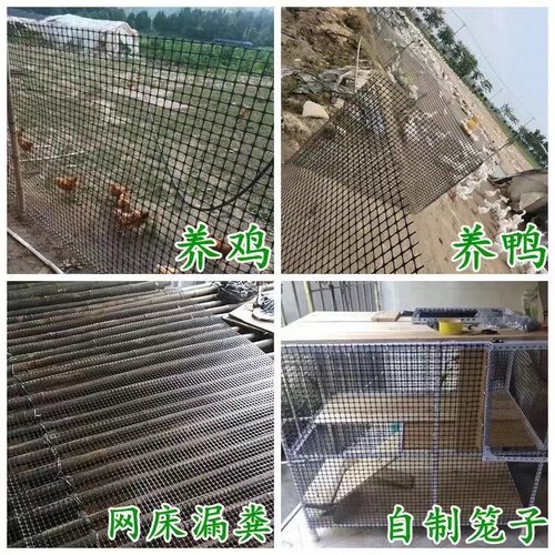 养鸡围栏b网菜园圈地零售10米20米长塑料防护网户外养殖网圈玉米