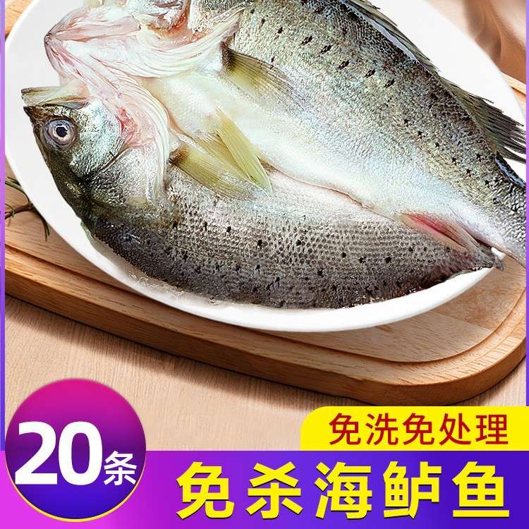 海鲈鱼开背新鲜冷冻鲜活深海七星鲈鱼海鱼卢鱼水产烤鱼半成品商用