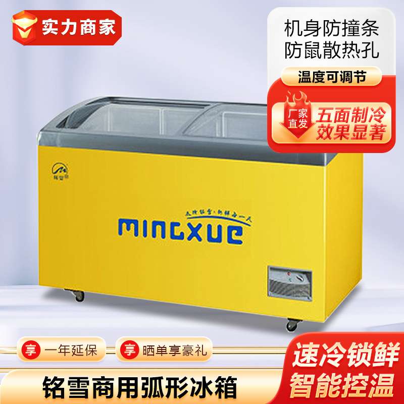 铭雪商用冰箱弧形玻璃移门冰柜雪糕冰激淋柜海鲜展示柜超市冷柜