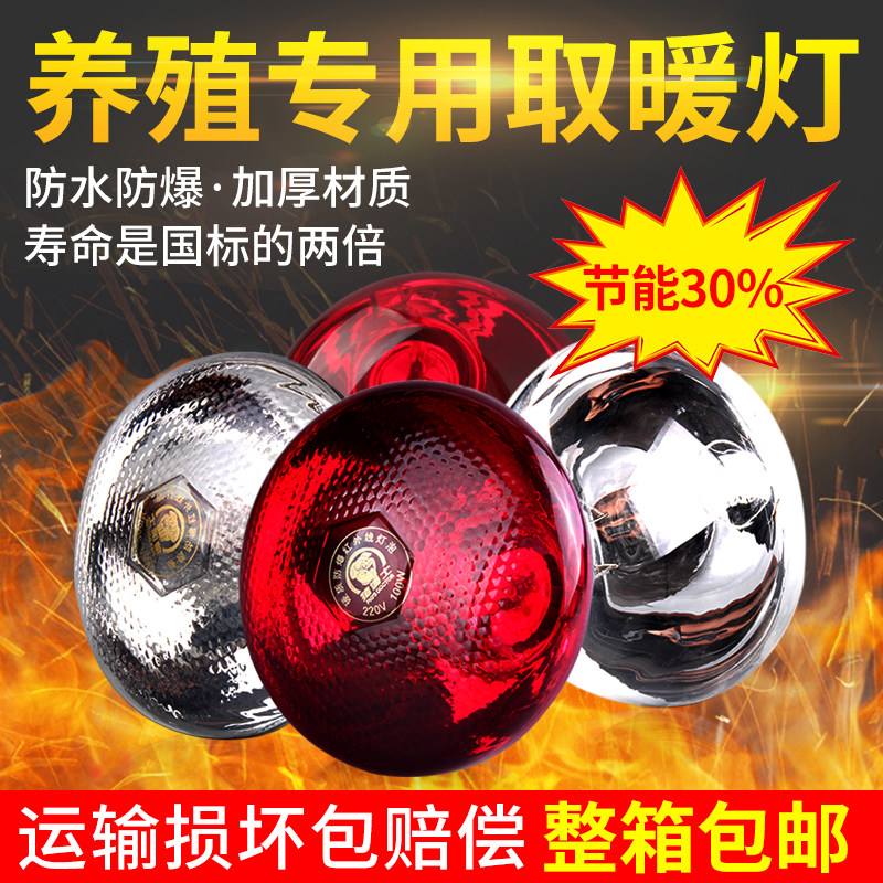 猪用保温灯养殖场专用育雏取暖灯泡仔猪兽用加热烤灯小猪保暖灯泡,畜牧/养殖物资,养殖保温灯,淘宝优惠券,粉丝福利购,淘宝优惠卷